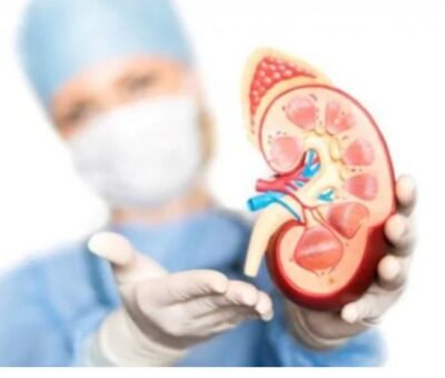 Here are the Ways to Clean Your Kidneys Naturally.
