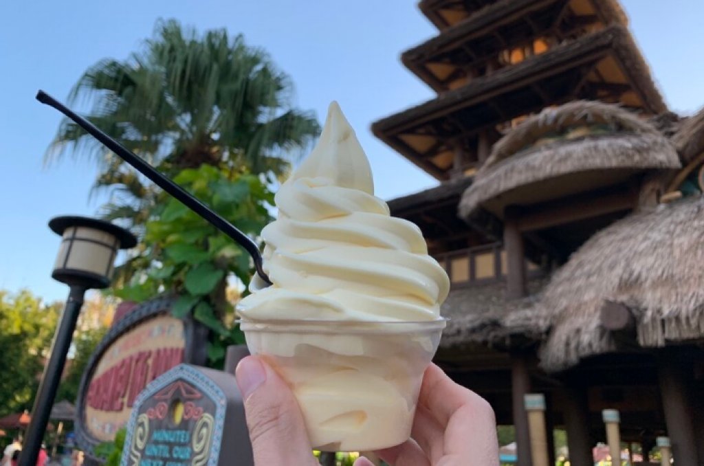 Some Foods You should Try While Visiting Disney World